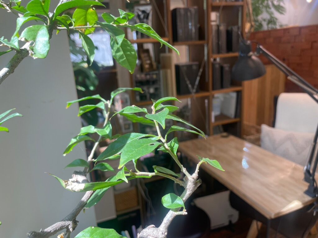 ネイリストの仕事内容をわかりやすく知りたい方必見！やりがいや働き方についても徹底解説